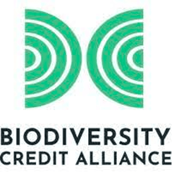 BCA Logo